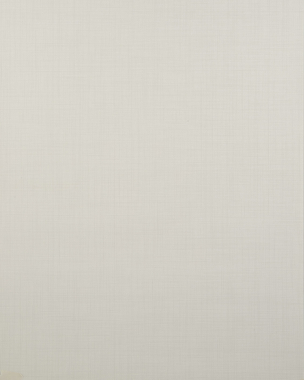 profhome-wallpaper-tapete-impressions-BV-919091